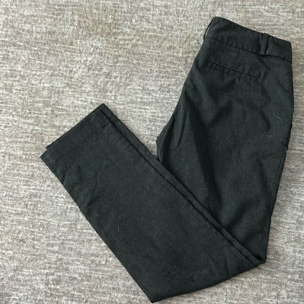 Women’s dress pants